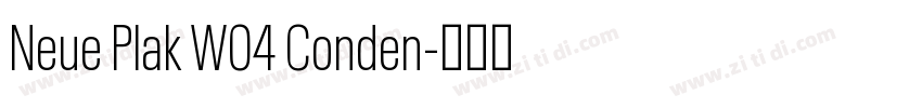 Neue Plak W04 Conden字体转换